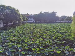 -星巴克(舟山蜈蚣峙店)