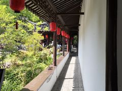 -上海醉白池公园