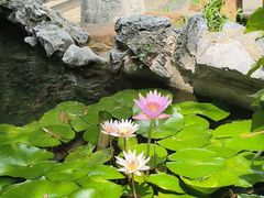 -花锦堂·隐庐