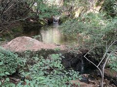 -王顺山国家森林公园