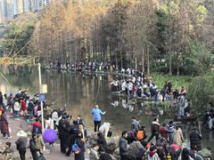 -重庆彩云湖湿地公园