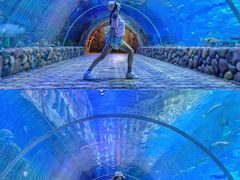 -华夏文旅海洋公园