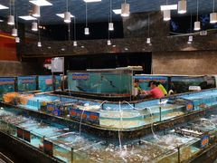 水产区-顺风山庄(水濂山店)