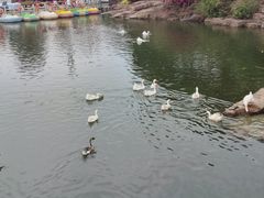 -广州莲花山旅游区