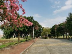 -风云岭森林公园