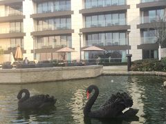 -行者书屋大堂吧 ·下午茶(南京圣和府邸酒店)