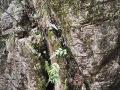 -重庆云阳龙缸景区