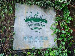 -华侨城湿地公园