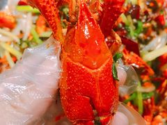 -赤甲皇(仙霞路店)