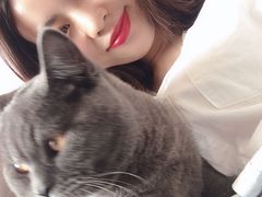 -伟伟宠物医院·CT影像中心·瑞派犬猫综合性门诊(汉口总院)