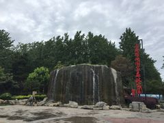 -合肥滨湖国家森林公园