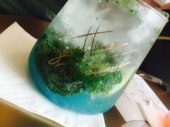 -飞行喵MR PILOT|猫舍·猫咖(静安大融城店)