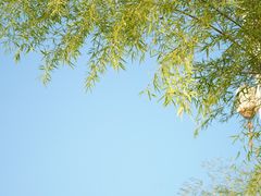 -西溪南古村落景区