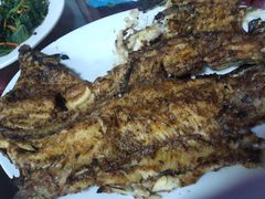 -北京龙庆四季香农家饭庄·灶台鱼·碳烤虹鳟鱼(龙庆峡店)