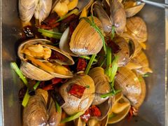 葱姜蛤蜊-开海·红岛海鲜虾水饺(石老人店)