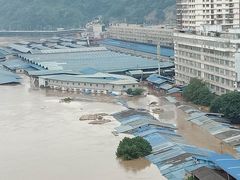 -菜园坝水果市场