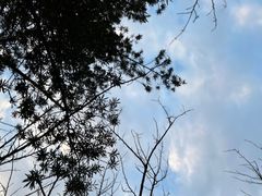 -八大山人梅湖景区