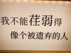 -猫的天空之城概念书店(苏州平江店)
