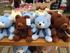 -济州岛泰迪熊博物馆