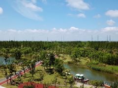 -上海长兴岛郊野公园