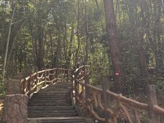 -青龙山国家森林公园