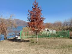 -洱海月湿地公园