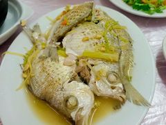 -老三鱼仔店