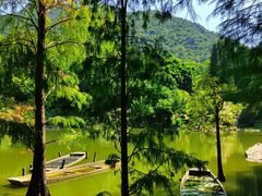 -深圳仙湖植物园