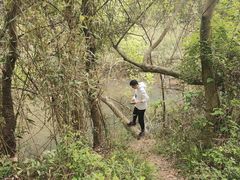 -青龙山国家森林公园