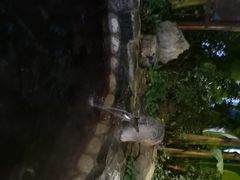 -中家鑫园温泉酒店鑫悦汤泉