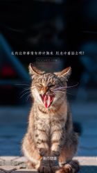 -莫莉幻想儿童乐园(武汉经开永旺店)