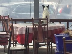 -明月食府(二区干二路店)
