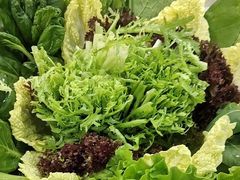 -额尔敦传统涮(公园西路店)