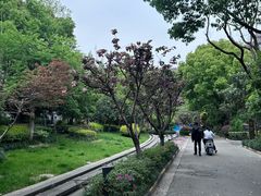 -大华梧桐墅大公馆