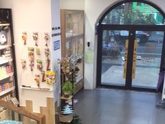 -宠小格时尚宠物生活馆(唐镇店)