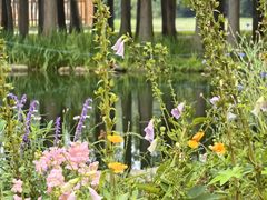 -上海共青森林公园