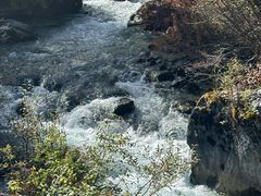 -稻城亚丁风景区-电瓶观光车售票处