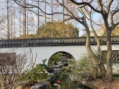 -上海醉白池公园