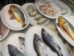 -渔家风味·鲅鱼水饺·央视展播·海鲜天津菜(开发区店)