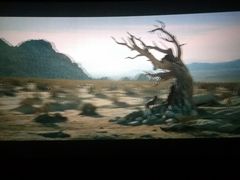 -星河国际影城(新会店)