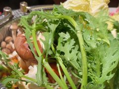 -弓二·烧鸟居酒屋(财富购物中心店)