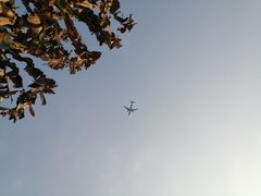 景点-空港花田景区