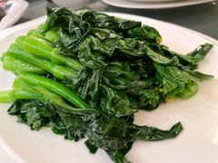 -湛江民大喜来登酒店-采悦轩中餐厅