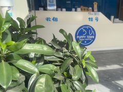 -芭比堂动物医院·CT·微创中心(新顺分院)