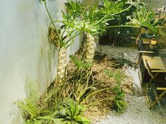 -J Create城市露营咖啡·简餐·宠物(上海动物园店)