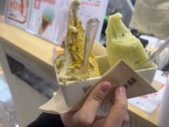 -野人先生现做冰淇淋(西安赛格店)