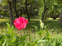-国家植物园南园