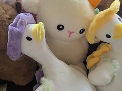 -浅深Cheersum(曹杨店)