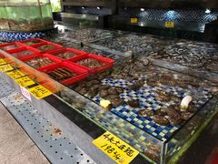 -顺德了能馆(虎门店)