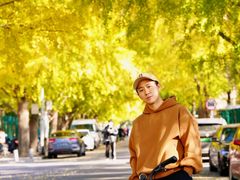 -三里屯东五街银杏大道